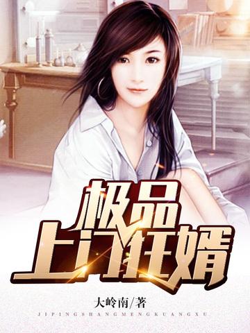 极品上门狂婿 木念辰