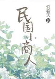 民国小商人笔趣阁