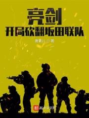 亮剑开局砍翻坂田联队TXT