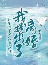 把老公车子撞了