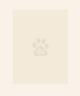 绝世炼丹师TXT 绝世炼丹师TXT