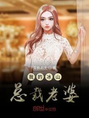 我的冰山总裁老婆杨辰