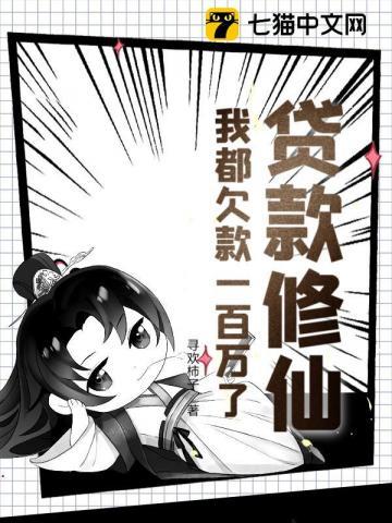 欠各种贷款100多万