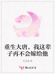 重生大唐当奶爸全文免费阅读