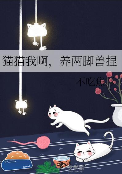 猫猫我啊 养两脚兽