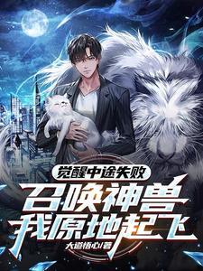 觉醒sss级召唤