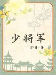 少将军衔相当于什么官工资多少