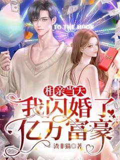 相亲当天我闪婚了亿万富豪相亲当天闪婚了个亿万富翁