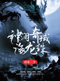 神澜奇域海龙珠 唐家三少