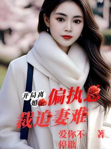 开局离婚偏执总裁追妻难主要讲了