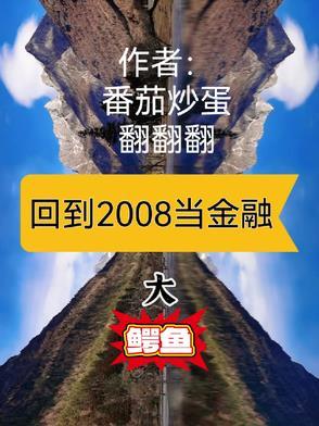 如果回到2008年怎么暴富