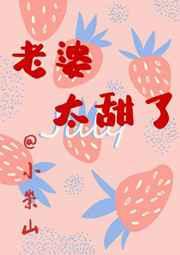 老婆太甜了全文阅读