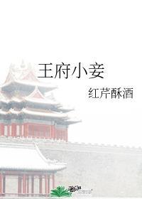 王府小妾红芹酥酒免费阅读