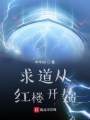 求道从红楼开始类似