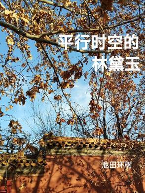 平行时空讲的是什么