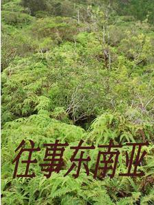 缅北人员