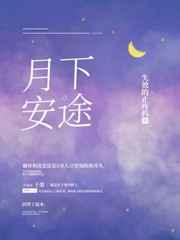 月下安途讲的什么