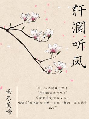 澜月听风的配图