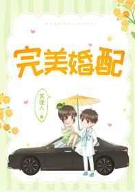 完美婚配gl