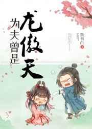 为夫曾是龙傲天简介
