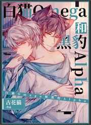 白猫Omega和黑豹Alpha讲什么