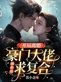 开局就是离婚