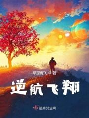 逆风飞翔书籍 逆风飞翔书籍
