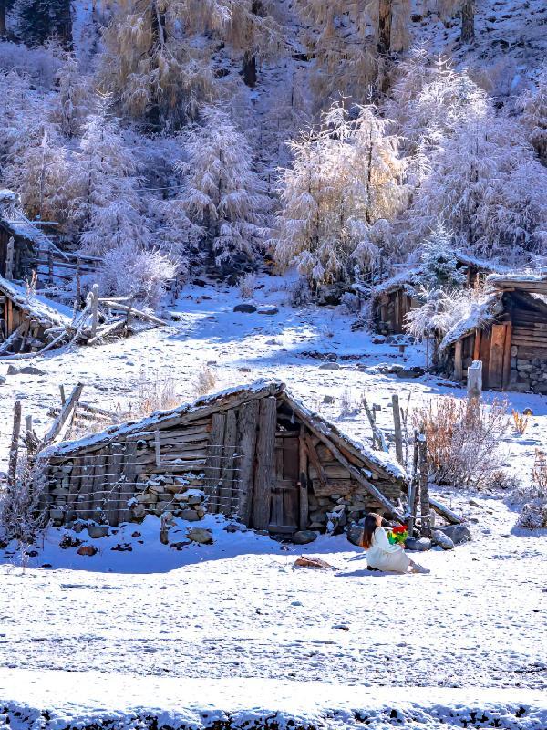 河住江帆水倒流 河住江帆水倒流
