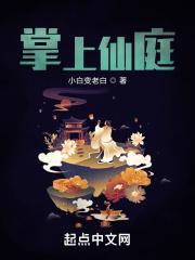 掌上仙庭起点