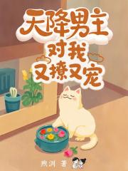 天降男神追妻有助攻