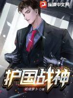 护国战神txt