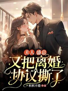 盛总夫人又去败家了听书
