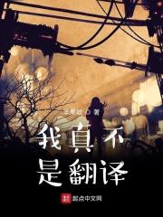 我真不是翻译 笔趣阁 我真不是翻译 笔趣阁
