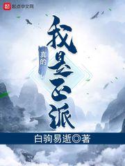 我真的是正派呀 百科