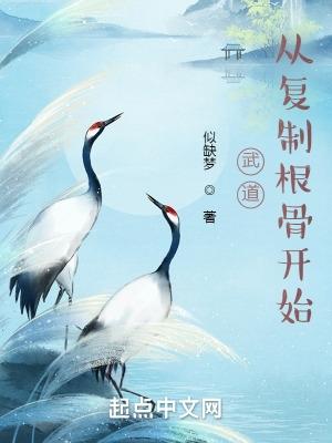 武道从复制根骨开始(乘风御剑)