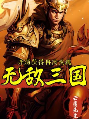 开局获得冉闵武魂无敌三国云博先生