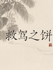 救驾之功