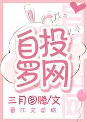 罗网