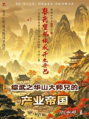 武侠剑出华山
