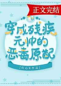 穿成残疾元帅的炮灰原配百度
