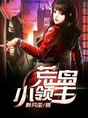 荒岛领主菜单版