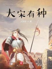 大宋有种 大罗罗