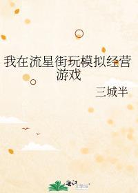 我在流星街玩模拟经营游戏 作者三城半