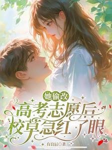 偷改高考志愿判几年