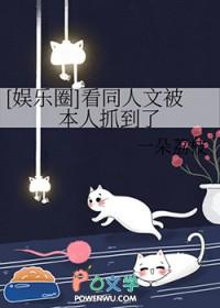 娱乐圈韩娱同人