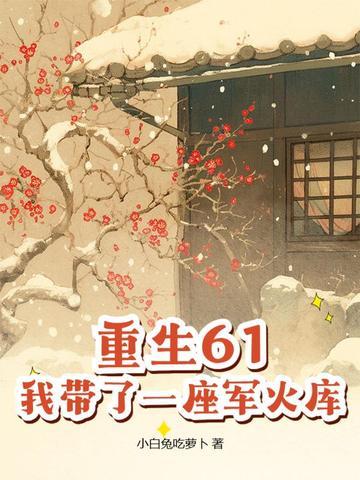 我带了一座军火库 第422章