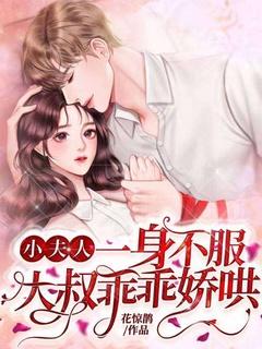 小夫人免费阅读