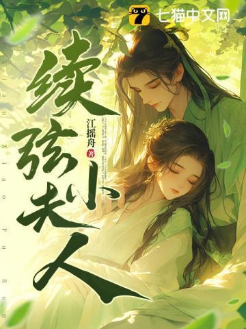 续弦小夫人短剧叫什么