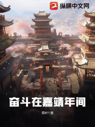 奋斗在明朝