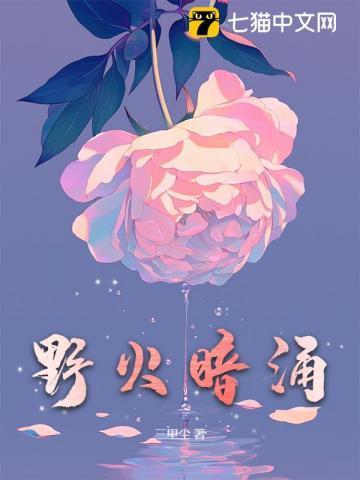 野火qt